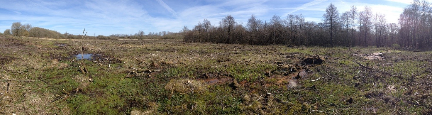 Billedet viser et moseområde ved Endrup efter rydning af træer og buske.